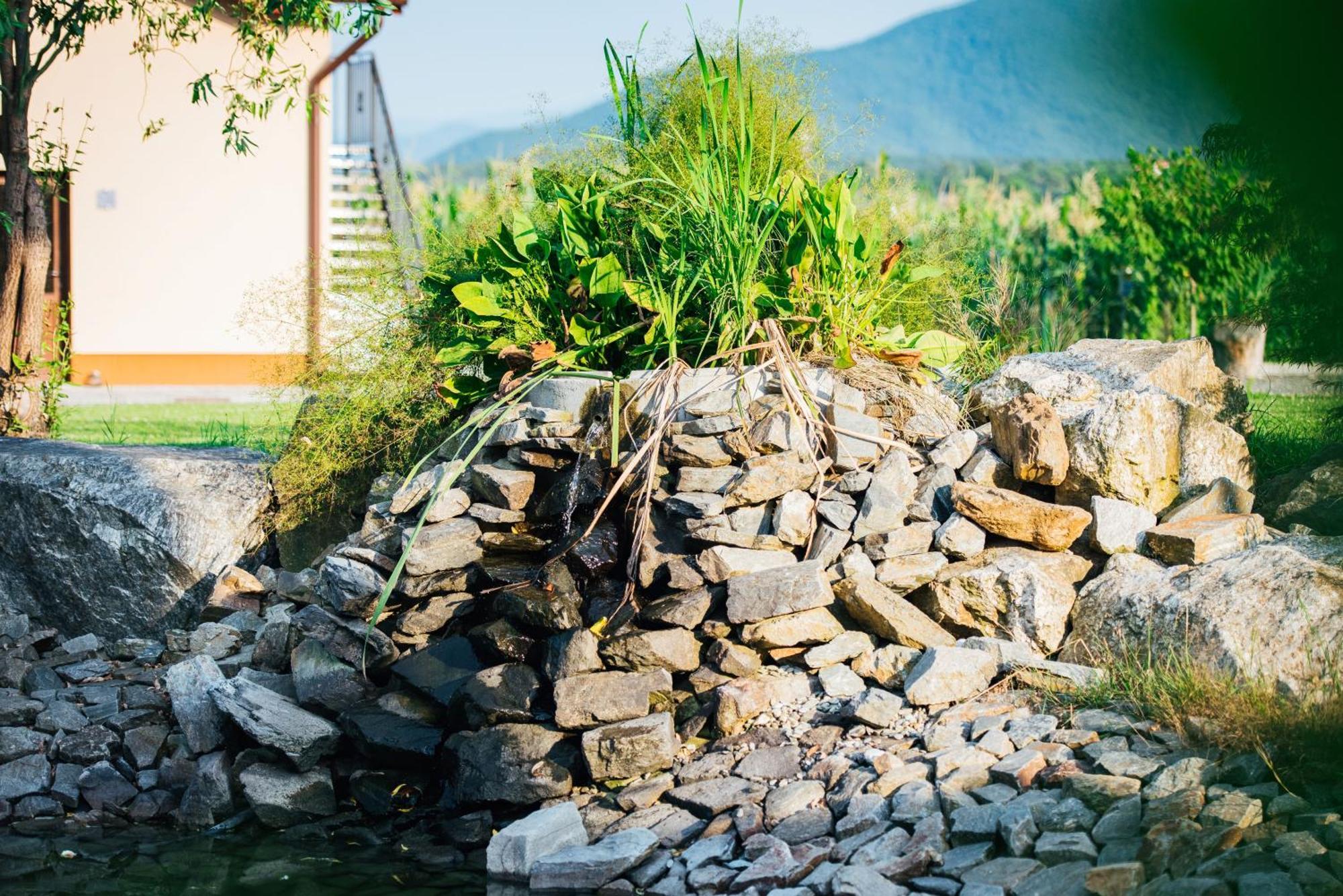 Rai Romanesc Sălişte Exterior foto