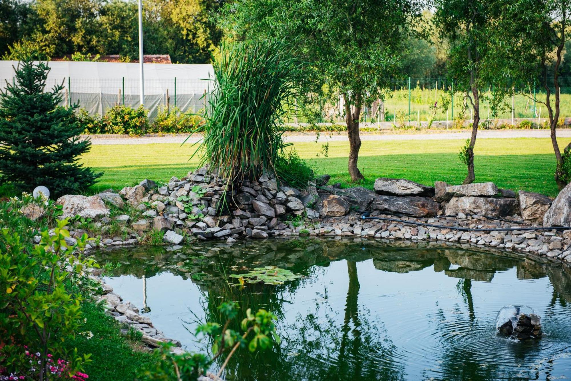 Rai Romanesc Sălişte Exterior foto