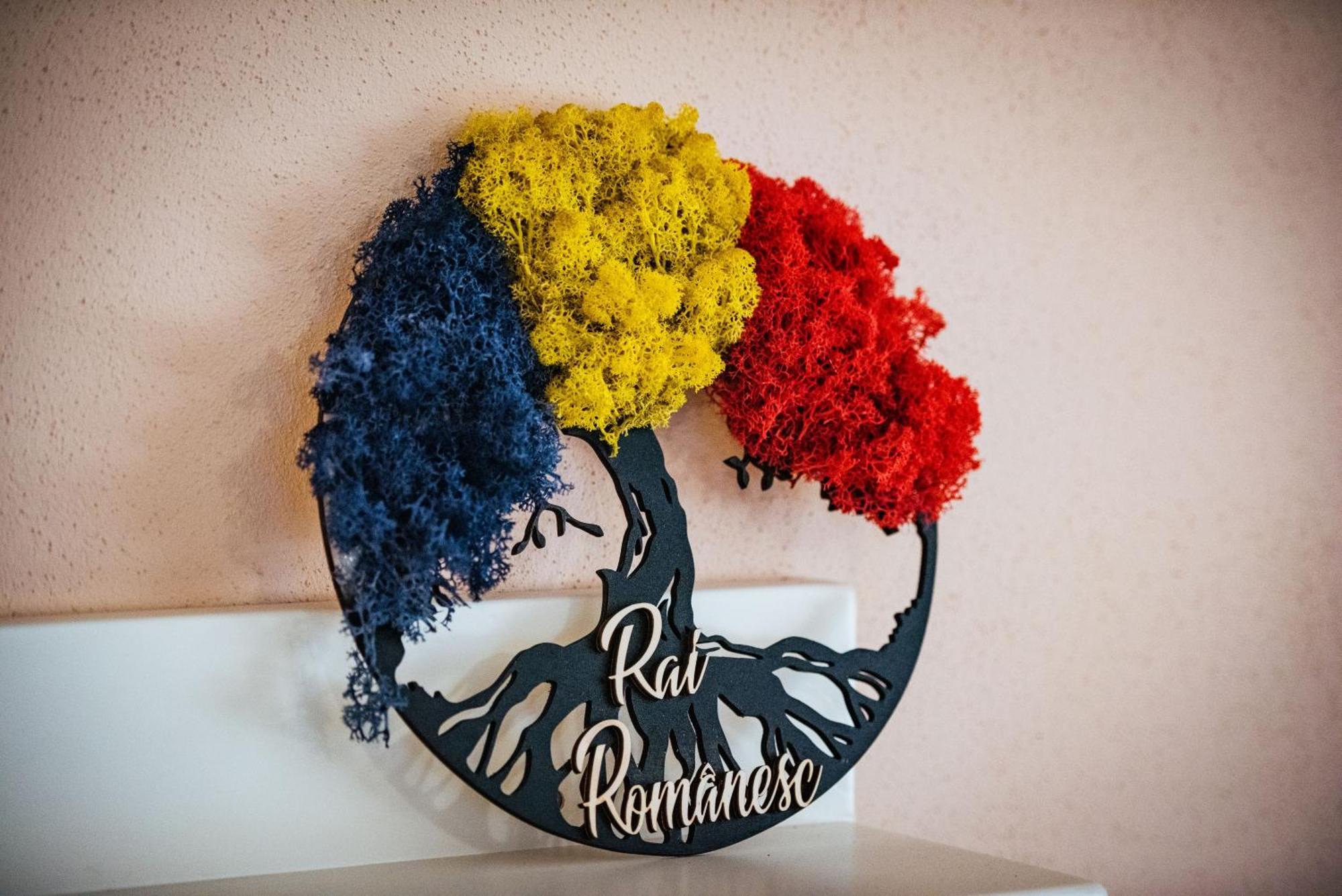 Rai Romanesc Sălişte Exterior foto
